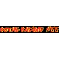 Logo ROTHE RACING 66