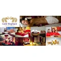 Logo Gold Elephant, Royal Thai Wellness