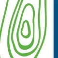 Logo Rudi Nein