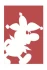 Logo Rudi Renner Agentur Robert Sterzik