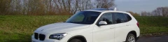 Logo Friedrich, Rudolf