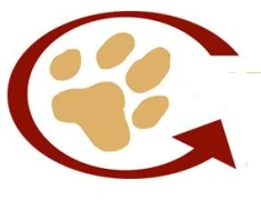 Logo Rund um Hunde