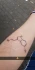 Logo S-Toner Tattoo