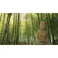 Logo Sabeidie Traditionelle Thai Massage