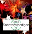 Logo Sachverständigen Team 24