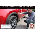 Sachverst&auml;ndiger