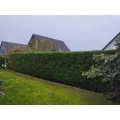 SACO Haus&Garten Salzgitter