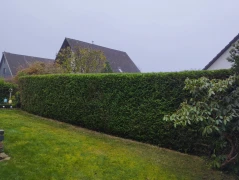 SACO Haus&Garten Salzgitter