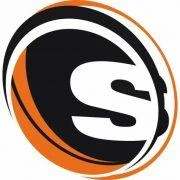 Logo Salient GmbH