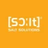 Logo SALT Solutions AG