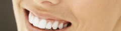 Logo Salvasohn Hans-Jürgen Dental-Labor Zahntechniker