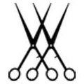Logo Salvatore & Co. Beuel