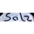 Logo Salz Holzapfel GmbH & Co