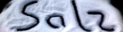 Logo Salz Holzapfel GmbH & Co. KG