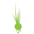 Logo &Ouml;zcelik, Sami