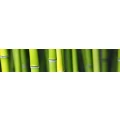 Logo Lens, Sandra