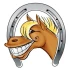 Logo Sandra's Pony-Bande
