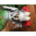 Sandras Hundesalon Sandra Lietzow Krefeld