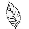 Sarah Feucht freiberufliche Gartengestalterin Glienicke