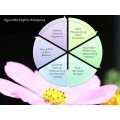 Logo Sarah Ziegler Ayurveda Yoga in Bewegung