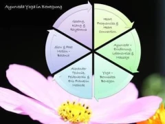 Logo Sarah Ziegler Ayurveda Yoga in Bewegung