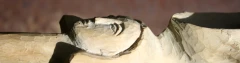 Logo Sascha Kempter