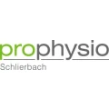 Logo Sascha May ProPhysio - Physio- und Manuelle Therapie, Training