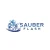 Logo Sauber Flash