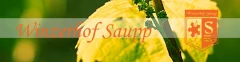 Logo Saupp F.