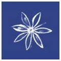 Logo Saxonia-Catering GmbH & Co. KG