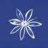 Logo Saxonia-Catering GmbH & Co. KG