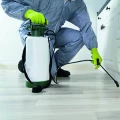 SBK Sch&auml;dlingsbek&auml;mpfung W. Schulz, Wespennotdienst 24h, Holz- und Bautenschutz Frankfurt, Oder
