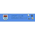 Logo SC Dingolfing e.V.