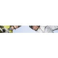 Logo Sch&auml;fer