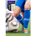 Logo Schain Franz oHG