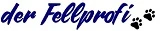 Scharfenberg GmbH & Co KG Kempen
