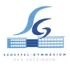 Logo Scheffel-Gymnasium