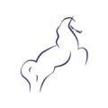 Logo Schimmel, Olaf