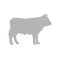 Logo Schlachterei Jox GmbH