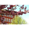 SchlafGut Apartmenthotel Leipzig Leipzig