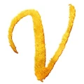 Logo Schlagerband Vergoldet
