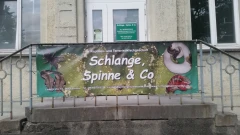 Schlange, Spinne & Co Lindau