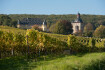 Logo Schloss Vollrads GmbH & Co. Besitz KG