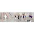 Logo Schmedtje Sylvia Ballett Company