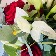 Schmitz Blumen Floristikgesch&auml;ft Pulheim
