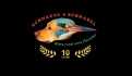 Logo Schnauze & Schnabel e.K.