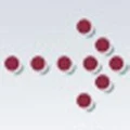 Logo Schneider GbR Steuerberater