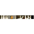 Logo Schneider Logo Schneider