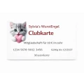 Schnell Imbiss Sylvias Wurstengel Medard