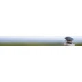 Logo Schorer Garten- u. Landschaftsbau GmbH
